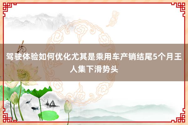 驾驶体验如何优化尤其是乘用车产销结尾5个月王人集下滑势头