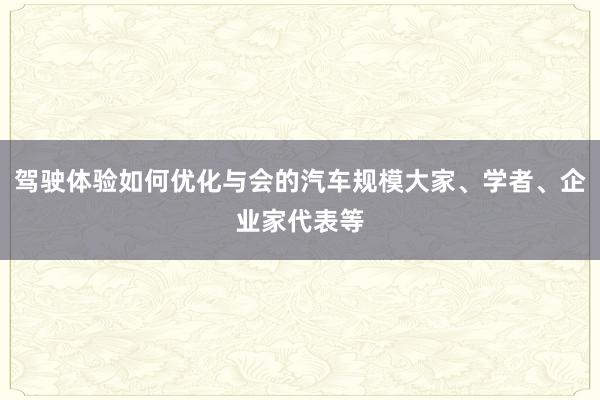 驾驶体验如何优化与会的汽车规模大家、学者、企业家代表等