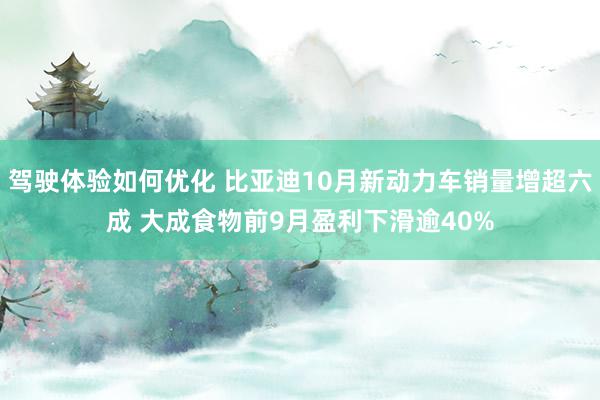 驾驶体验如何优化 比亚迪10月新动力车销量增超六成 大成食物前9月盈利下滑逾40%