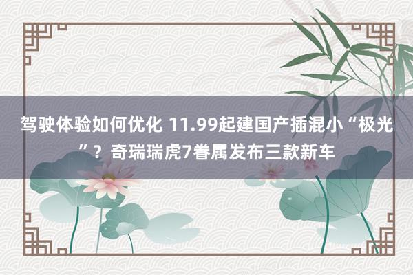 驾驶体验如何优化 11.99起建国产插混小“极光”？奇瑞瑞虎7眷属发布三款新车