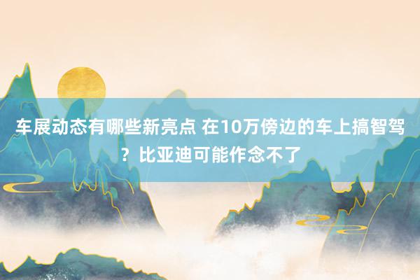 车展动态有哪些新亮点 在10万傍边的车上搞智驾？比亚迪可能作念不了