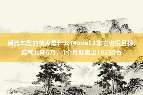 潮流车型的特点是什么 Model 3拿它也没目标，连气儿降6万，1个月就卖出15250台