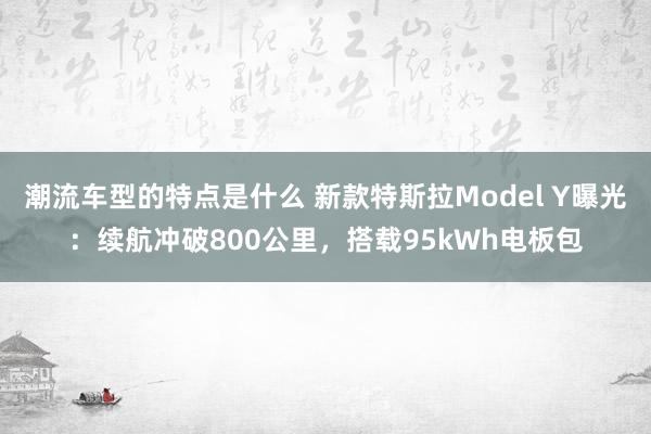 潮流车型的特点是什么 新款特斯拉Model Y曝光：续航冲破800公里，搭载95kWh电板包