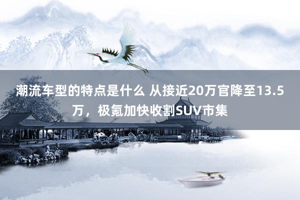 潮流车型的特点是什么 从接近20万官降至13.5万，极氪加快收割SUV市集