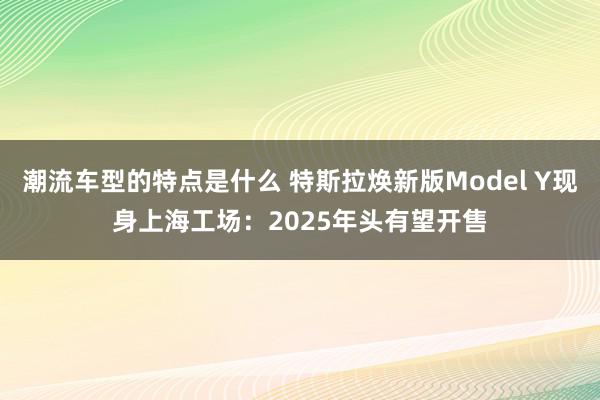 潮流车型的特点是什么 特斯拉焕新版Model Y现身上海工场：2025年头有望开售