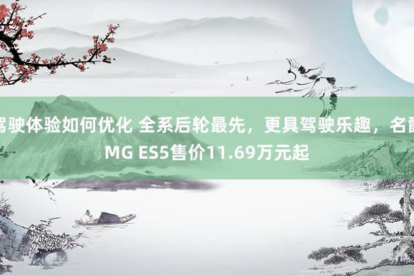 驾驶体验如何优化 全系后轮最先，更具驾驶乐趣，名爵MG ES5售价11.69万元起