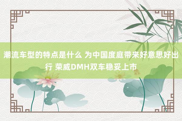 潮流车型的特点是什么 为中国度庭带来好意思好出行 荣威DMH双车稳妥上市