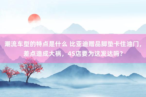 潮流车型的特点是什么 比亚迪赠品脚垫卡住油门，差点造成大祸，4S店要为这发达吗？