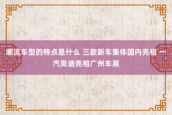 潮流车型的特点是什么 三款新车集体国内亮相 一汽奥迪亮相广州车展