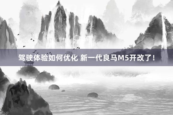 驾驶体验如何优化 新一代良马M5开改了！