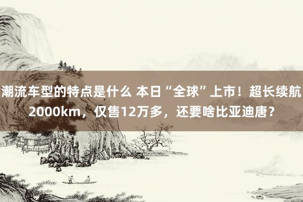 潮流车型的特点是什么 本日“全球”上市！超长续航2000km，仅售12万多，还要啥比亚迪唐？