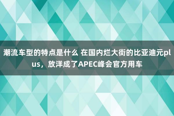 潮流车型的特点是什么 在国内烂大街的比亚迪元plus，放洋成了APEC峰会官方用车