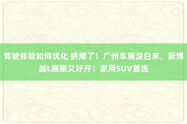 驾驶体验如何优化 挤爆了！广州车展没白来，新博越L顺眼又好开！家用SUV首选