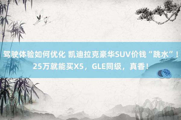 驾驶体验如何优化 凯迪拉克豪华SUV价钱“跳水”！25万就能买X5，GLE同级，真香！