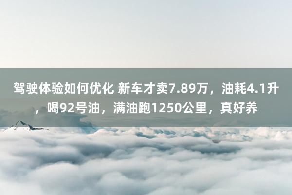 驾驶体验如何优化 新车才卖7.89万，油耗4.1升，喝92号油，满油跑1250公里，真好养