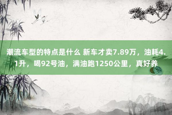 潮流车型的特点是什么 新车才卖7.89万，油耗4.1升，喝92号油，满油跑1250公里，真好养