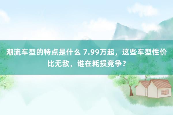 潮流车型的特点是什么 7.99万起，这些车型性价比无敌，谁在耗损竞争？