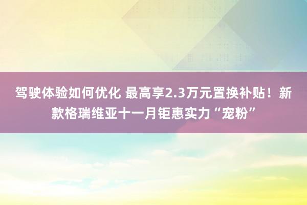 驾驶体验如何优化 最高享2.3万元置换补贴！新款格瑞维亚十一月钜惠实力“宠粉”