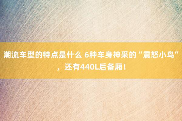 潮流车型的特点是什么 6种车身神采的“震怒小鸟”，还有440L后备厢！