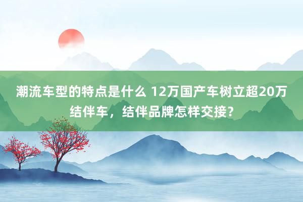 潮流车型的特点是什么 12万国产车树立超20万结伴车，结伴品牌怎样交接？