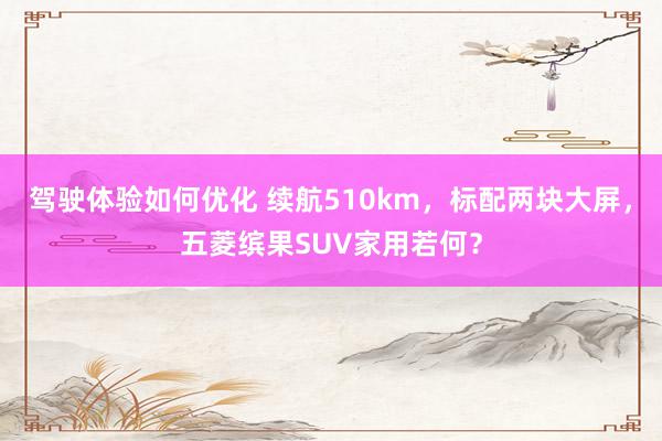 驾驶体验如何优化 续航510km，标配两块大屏，五菱缤果SUV家用若何？