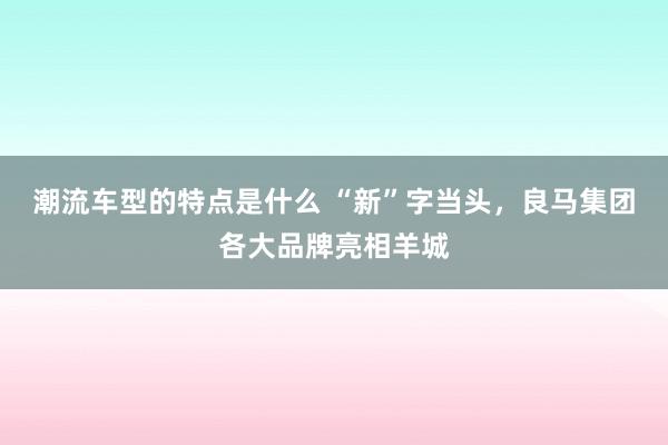 潮流车型的特点是什么 “新”字当头，良马集团各大品牌亮相羊城