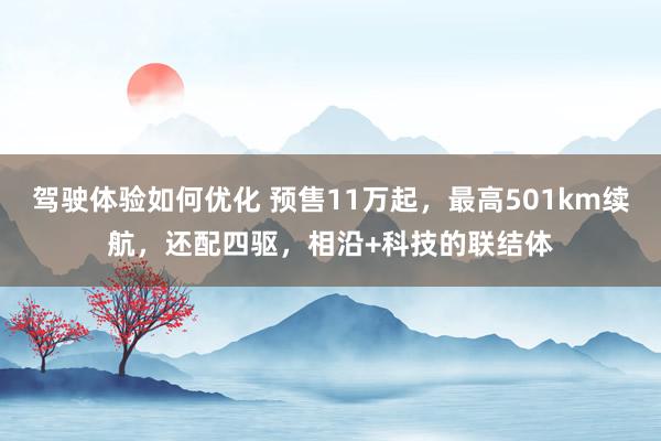 驾驶体验如何优化 预售11万起，最高501km续航，还配四驱，相沿+科技的联结体