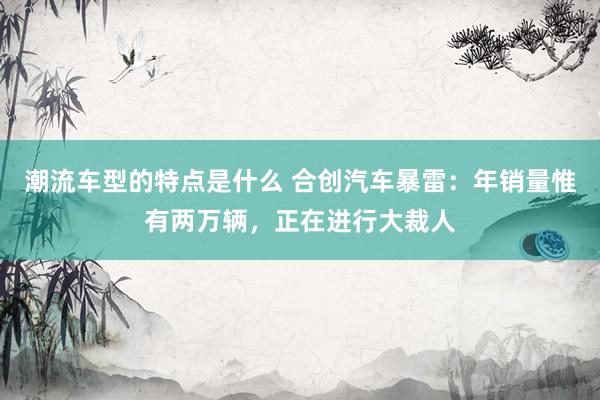 潮流车型的特点是什么 合创汽车暴雷：年销量惟有两万辆，正在进行大裁人