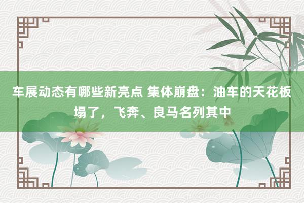 车展动态有哪些新亮点 集体崩盘：油车的天花板塌了，飞奔、良马名列其中