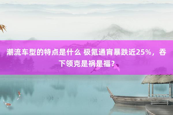 潮流车型的特点是什么 极氪通宵暴跌近25%，吞下领克是祸是福？