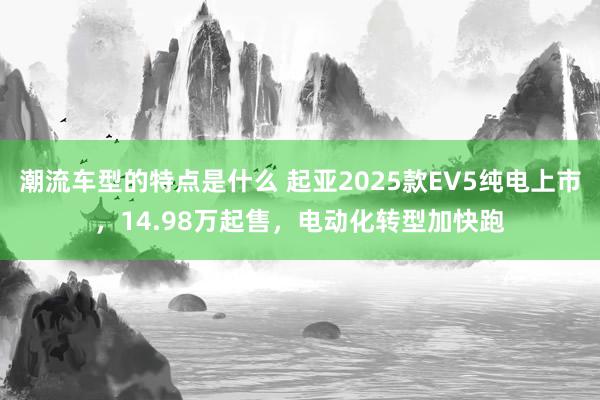 潮流车型的特点是什么 起亚2025款EV5纯电上市，14.98万起售，电动化转型加快跑