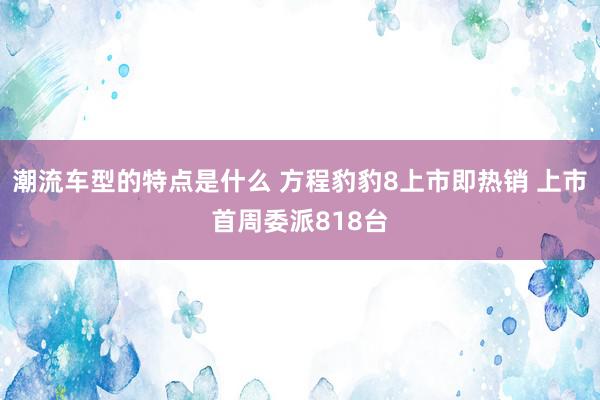 潮流车型的特点是什么 方程豹豹8上市即热销 上市首周委派818台