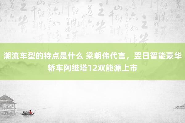 潮流车型的特点是什么 梁朝伟代言，翌日智能豪华轿车阿维塔12双能源上市