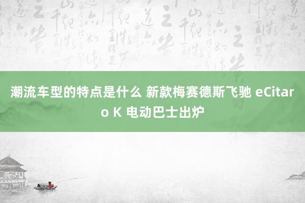 潮流车型的特点是什么 新款梅赛德斯飞驰 eCitaro K 电动巴士出炉