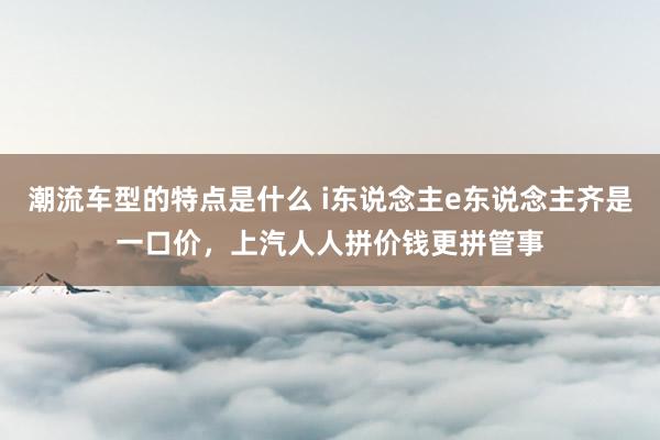 潮流车型的特点是什么 i东说念主e东说念主齐是一口价，上汽人人拼价钱更拼管事