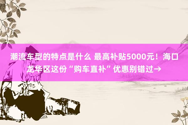 潮流车型的特点是什么 最高补贴5000元！海口龙华区这份“购车直补”优惠别错过→