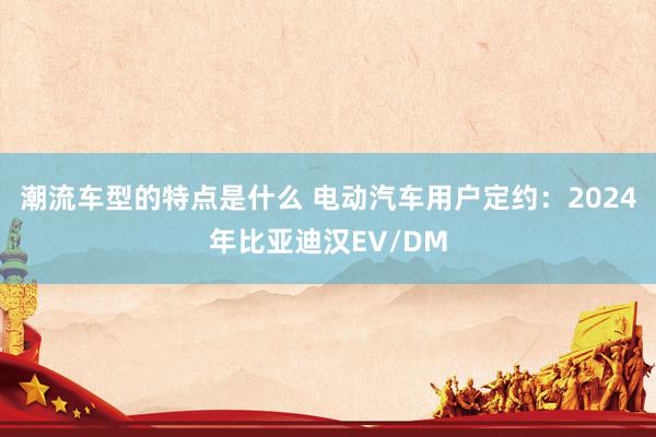 潮流车型的特点是什么 电动汽车用户定约：2024年比亚迪汉EV/DM