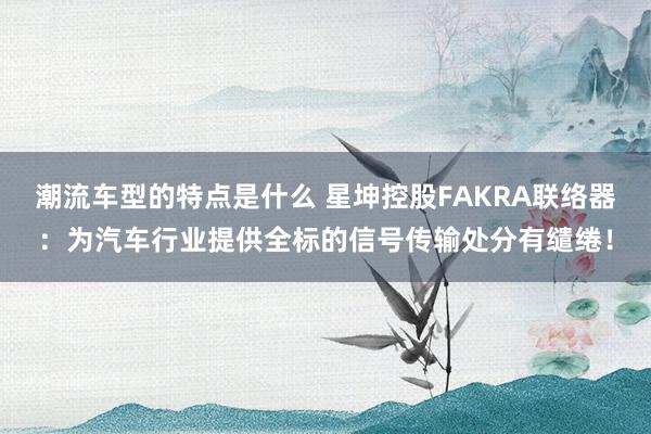 潮流车型的特点是什么 星坤控股FAKRA联络器：为汽车行业提供全标的信号传输处分有缱绻！