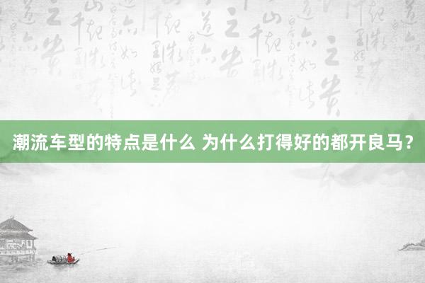 潮流车型的特点是什么 为什么打得好的都开良马？