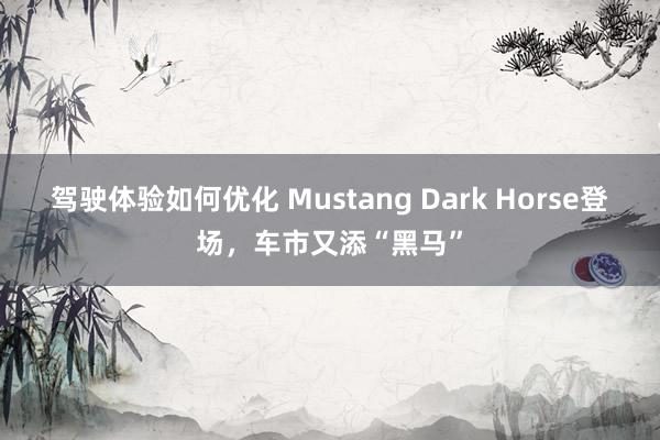 驾驶体验如何优化 Mustang Dark Horse登场，车市又添“黑马”