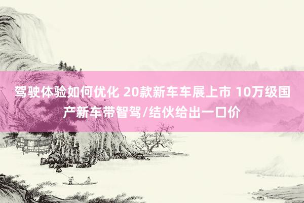 驾驶体验如何优化 20款新车车展上市 10万级国产新车带智驾/结伙给出一口价