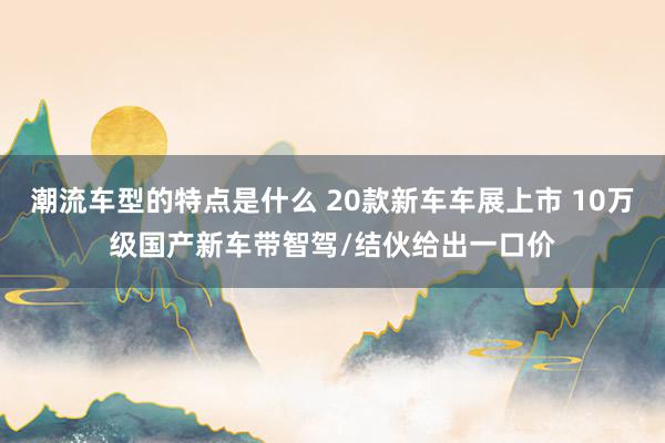 潮流车型的特点是什么 20款新车车展上市 10万级国产新车带智驾/结伙给出一口价