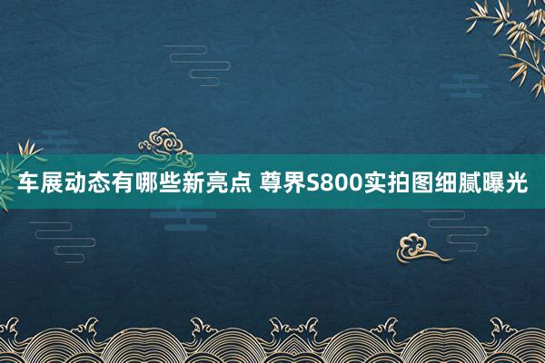 车展动态有哪些新亮点 尊界S800实拍图细腻曝光