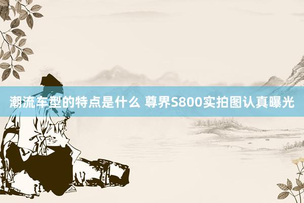 潮流车型的特点是什么 尊界S800实拍图认真曝光