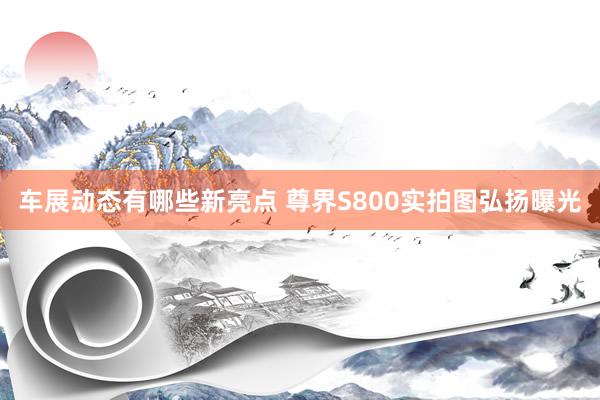 车展动态有哪些新亮点 尊界S800实拍图弘扬曝光