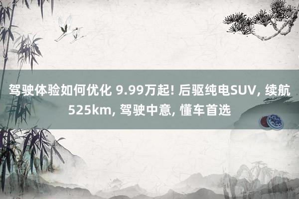 驾驶体验如何优化 9.99万起! 后驱纯电SUV, 续航525km, 驾驶中意, 懂车首选