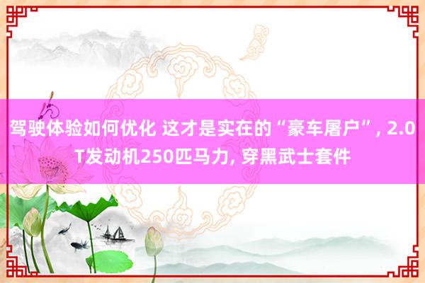 驾驶体验如何优化 这才是实在的“豪车屠户”, 2.0T发动机250匹马力, 穿黑武士套件