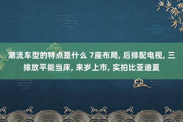 潮流车型的特点是什么 7座布局, 后排配电视, 三排放平能当床, 来岁上市, 实拍比亚迪夏