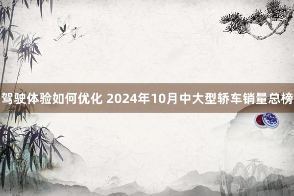 驾驶体验如何优化 2024年10月中大型轿车销量总榜