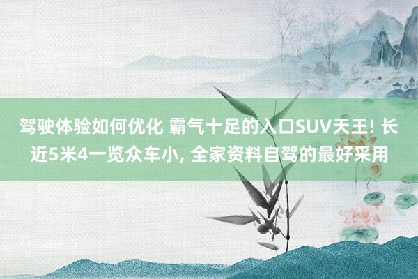 驾驶体验如何优化 霸气十足的入口SUV天王! 长近5米4一览众车小, 全家资料自驾的最好采用